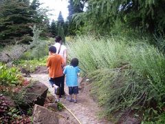 Botanischer Garten